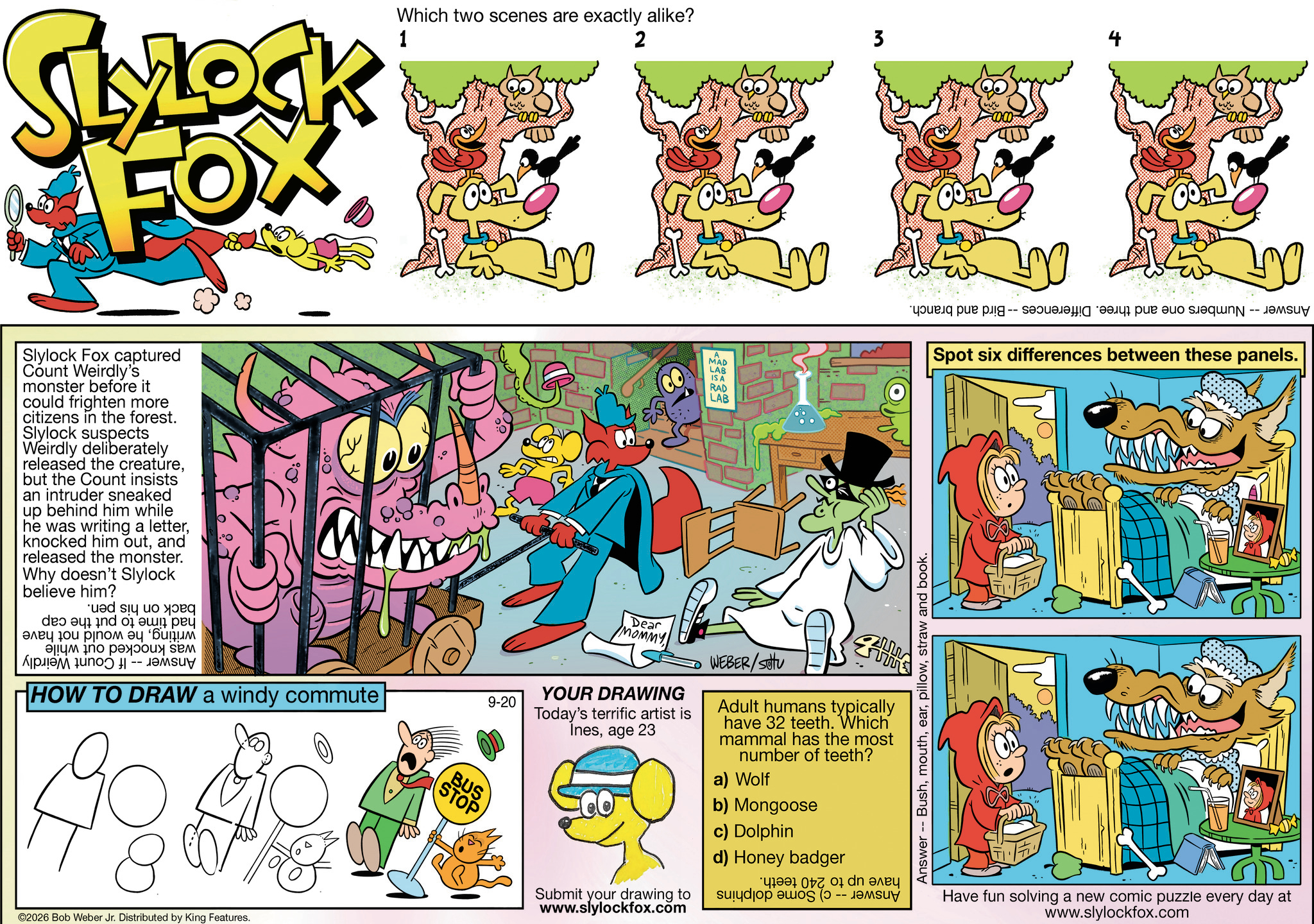 10/04/2026 Slylock Fox